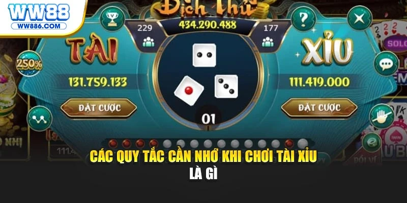 Các quy tắc cần nhớ khi chơi Tài Xỉu là gì