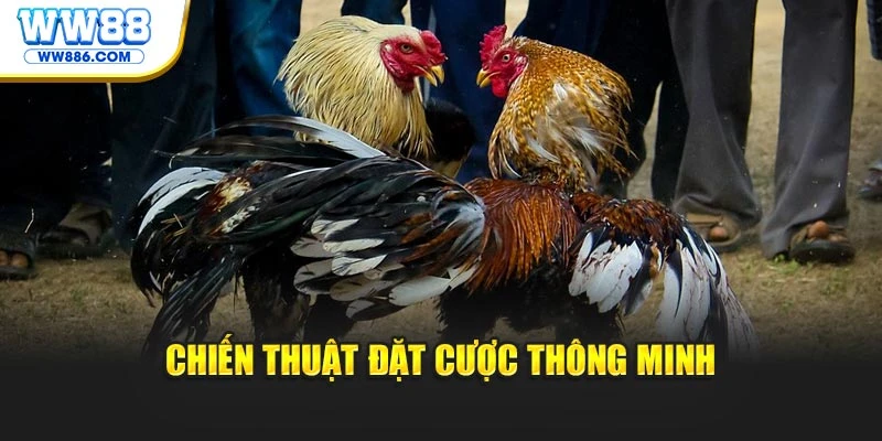 Chiến thuật đặt cược thông minh