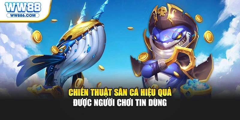 Chiến thuật săn cá hiệu quả được người chơi tin dùng
