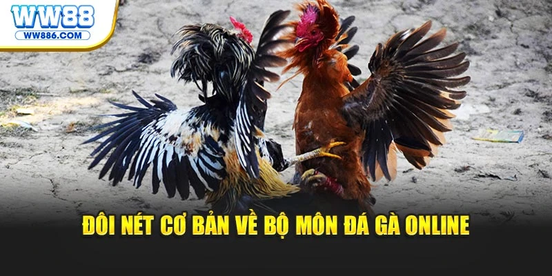 Đôi nét cơ bản về bộ môn đá gà online