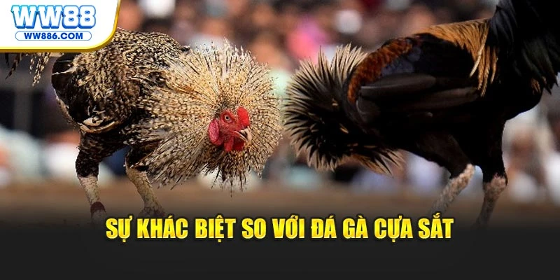 Sự khác biệt so với đá gà cựa sắt